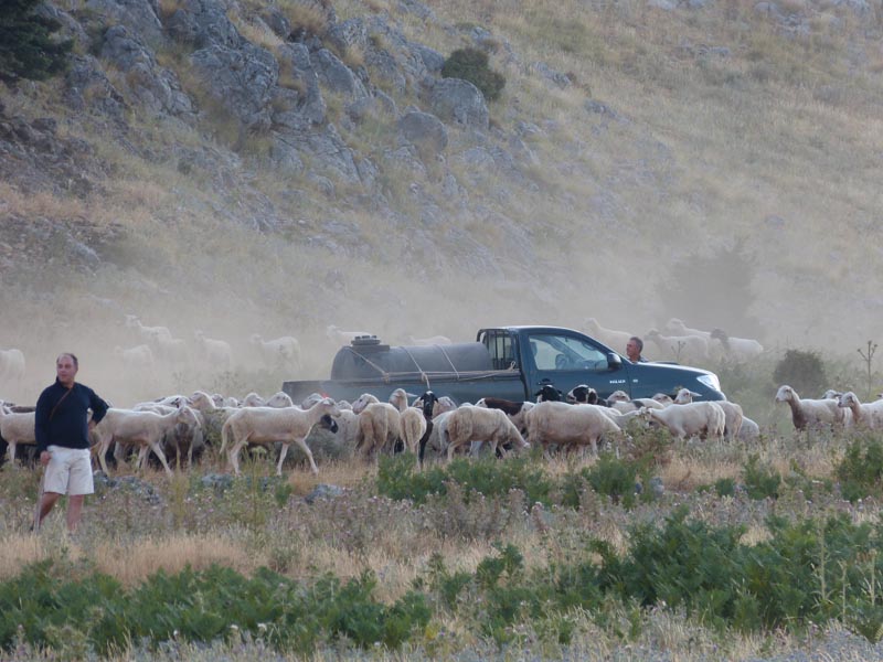 Aghios Ilias Parnon 016