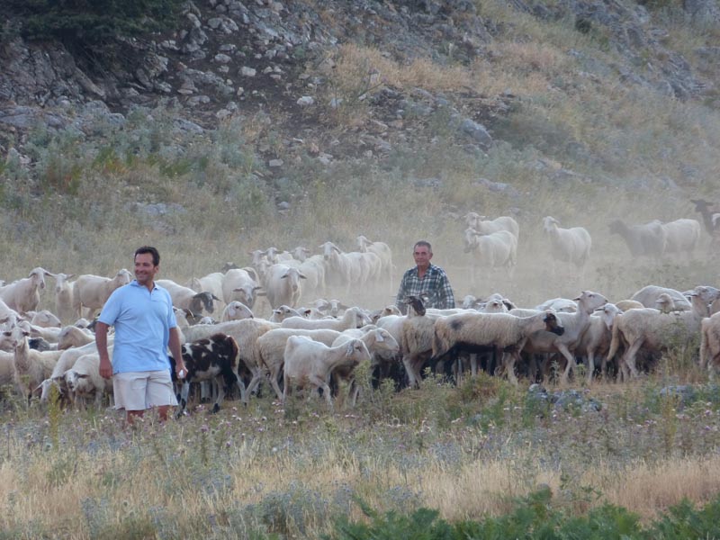 Aghios Ilias Parnon 017