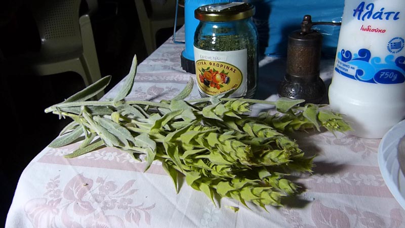 Aghios Ilias Parnon14