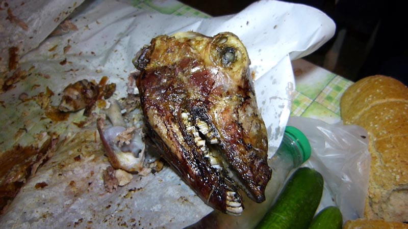 Aghios Ilias Parnon31