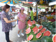 Narumol wei�, wo es die besten Melonen gibt